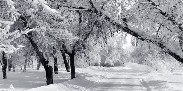 Winter Driving Tips