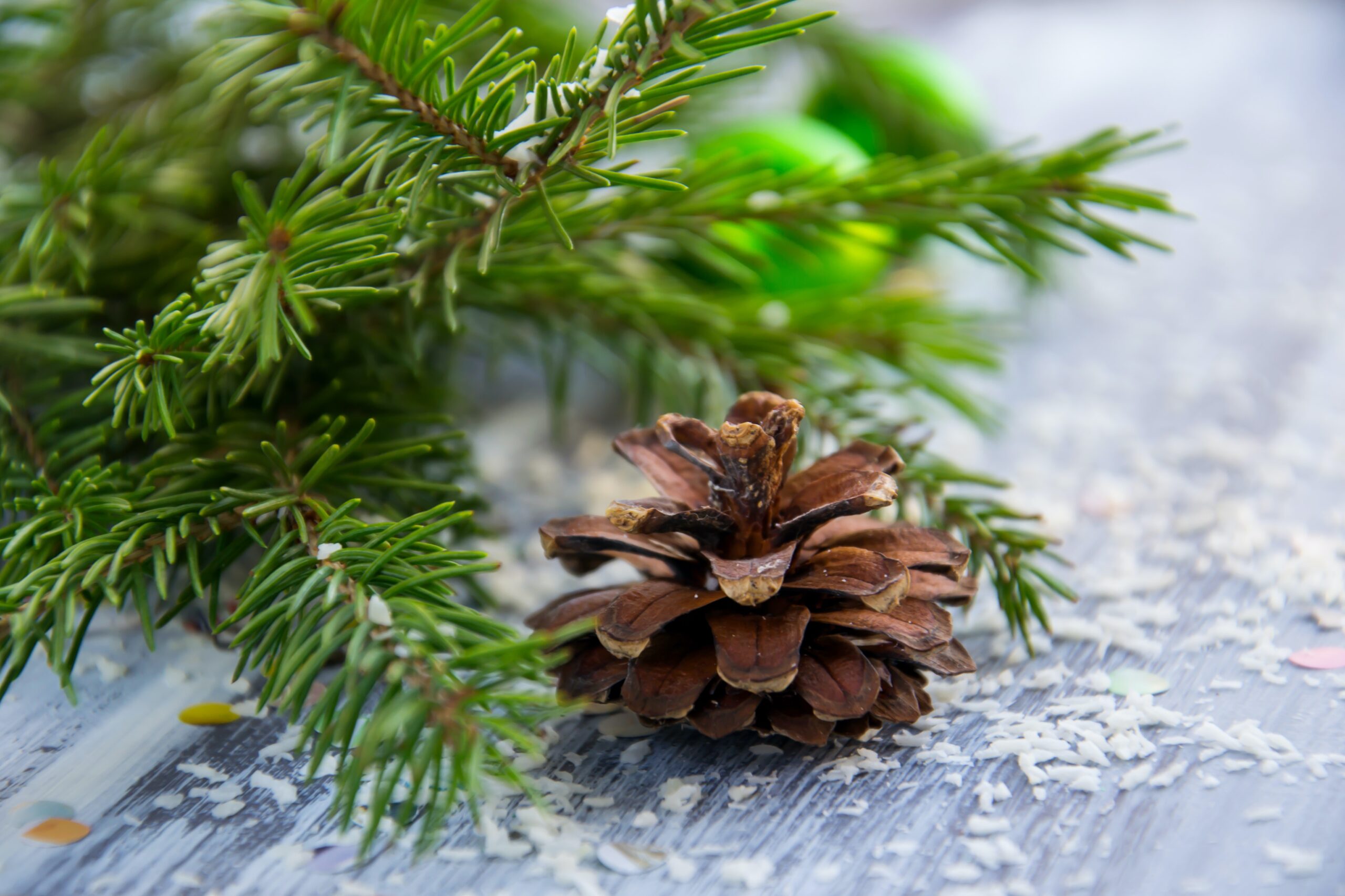 7 Fun Winter Activities for You and Your Family!