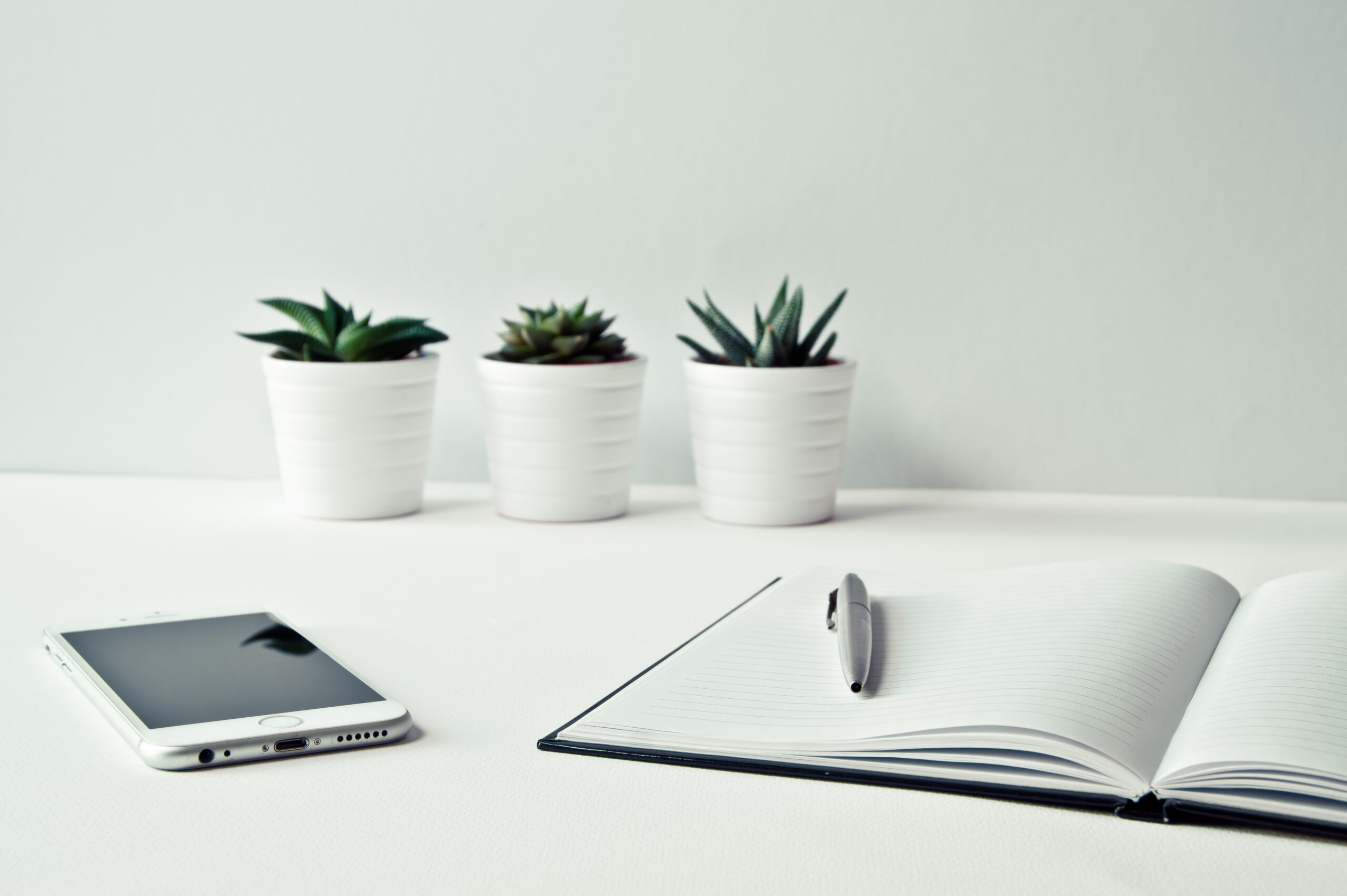 Small business insights: Why some businesses don’t make it!