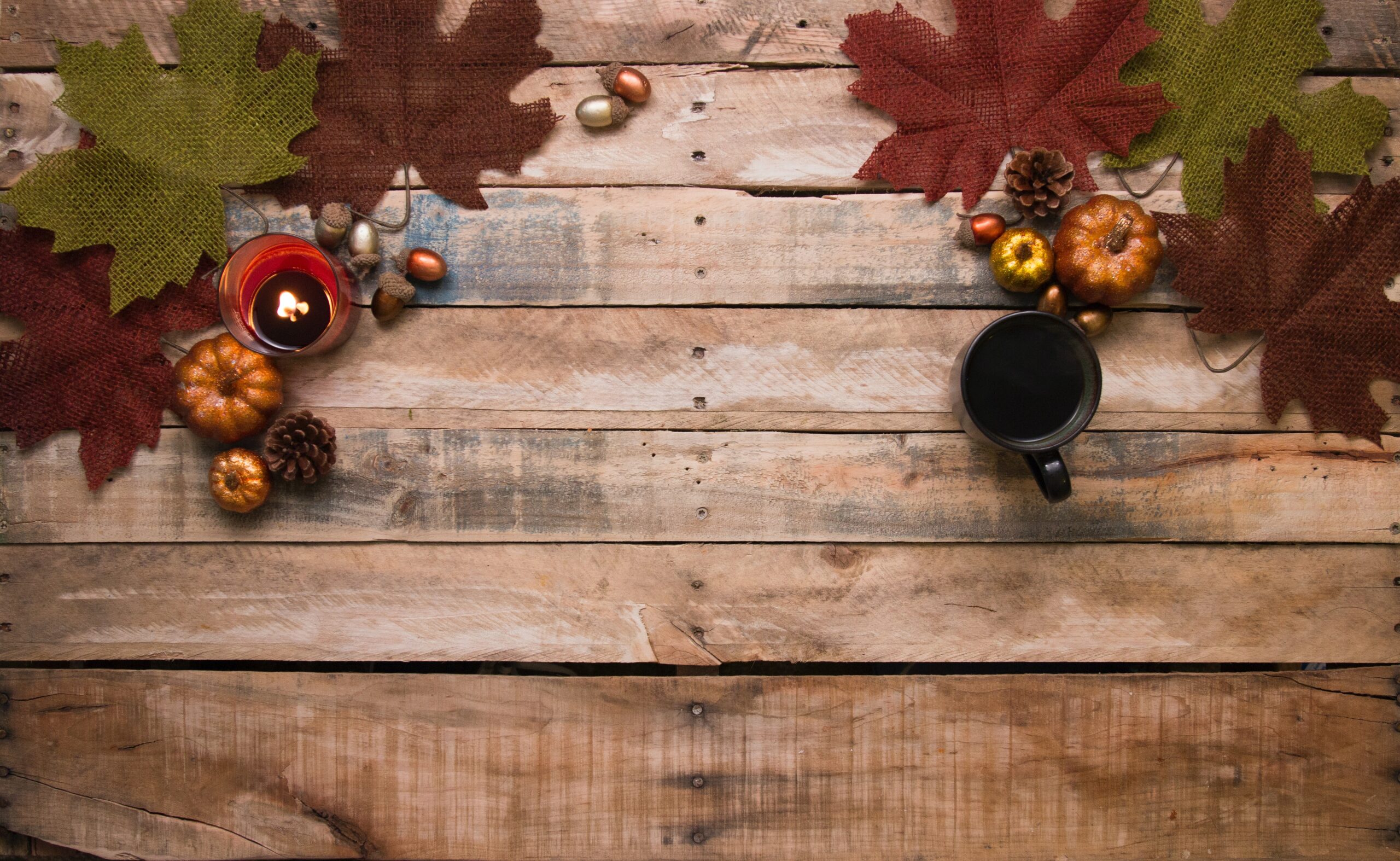 8 Reasons to be grateful this Thanksgiving!