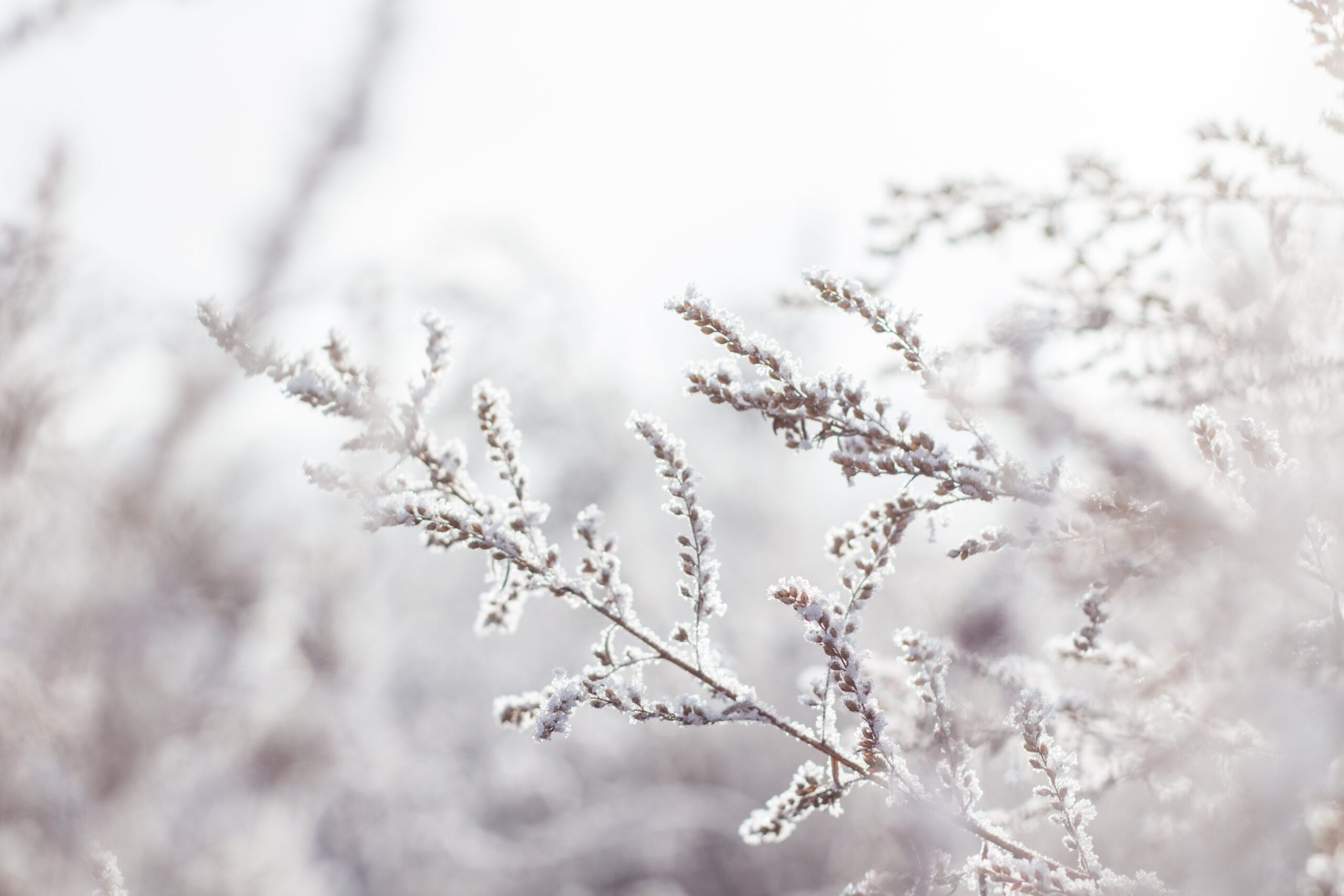 10 Tips for storing your car for winter!