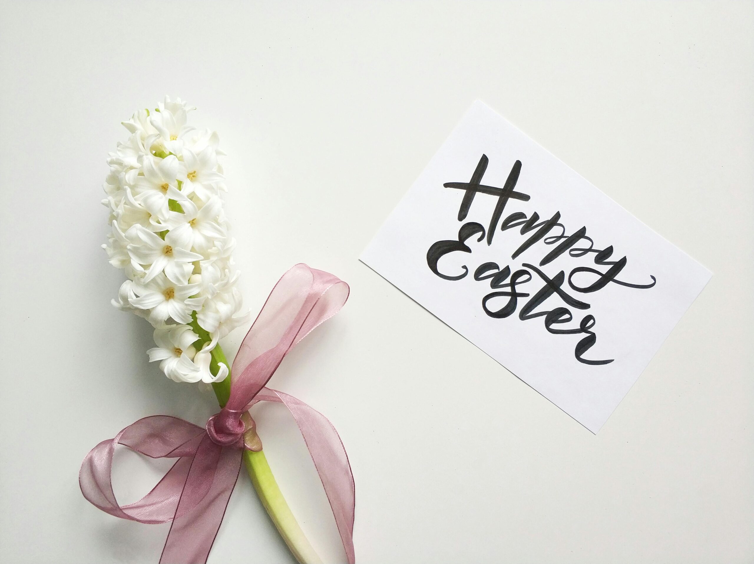 Wishing you a Hoppy Easter 2024!