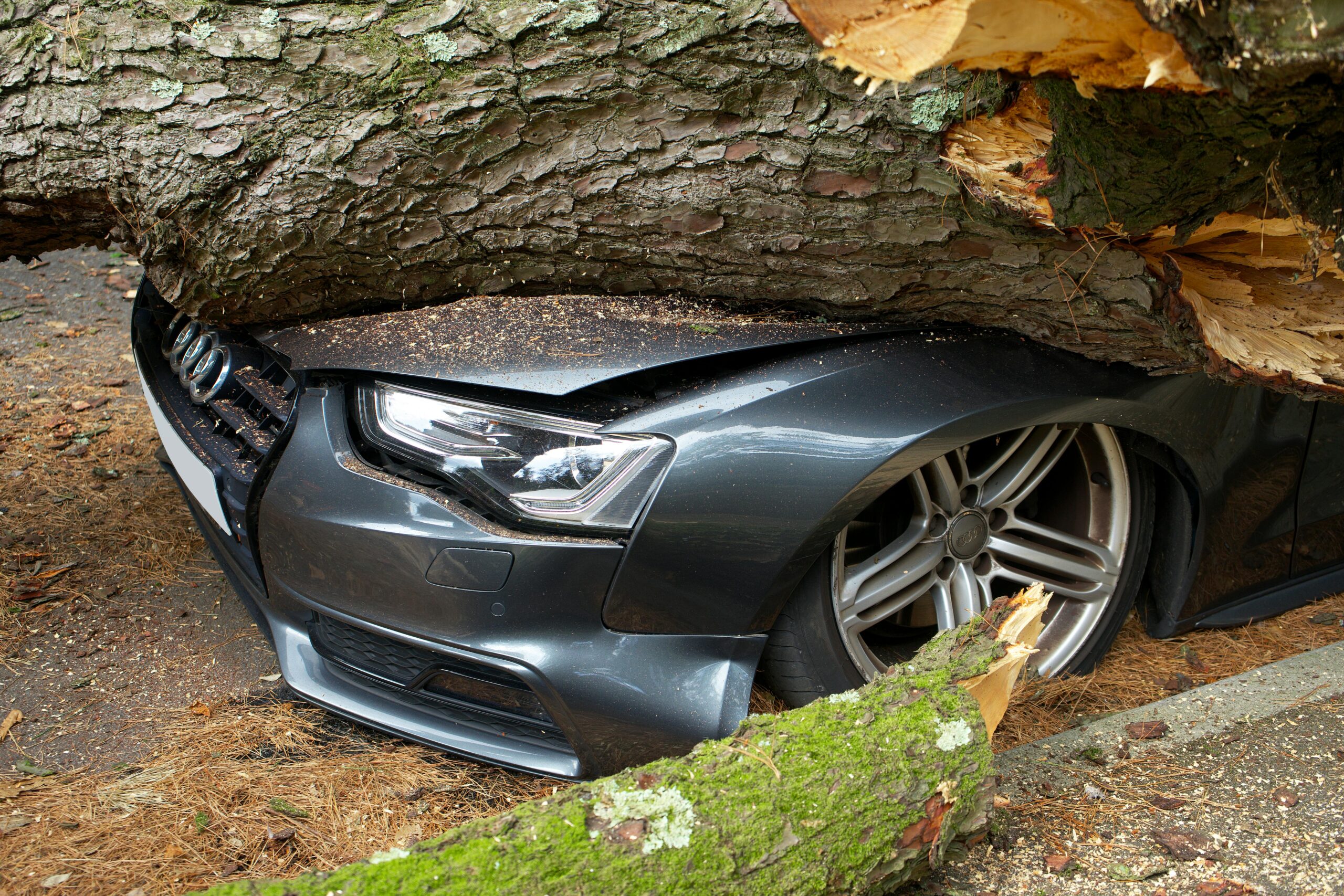 3 Reasons to purchase vehicle replacement insurance