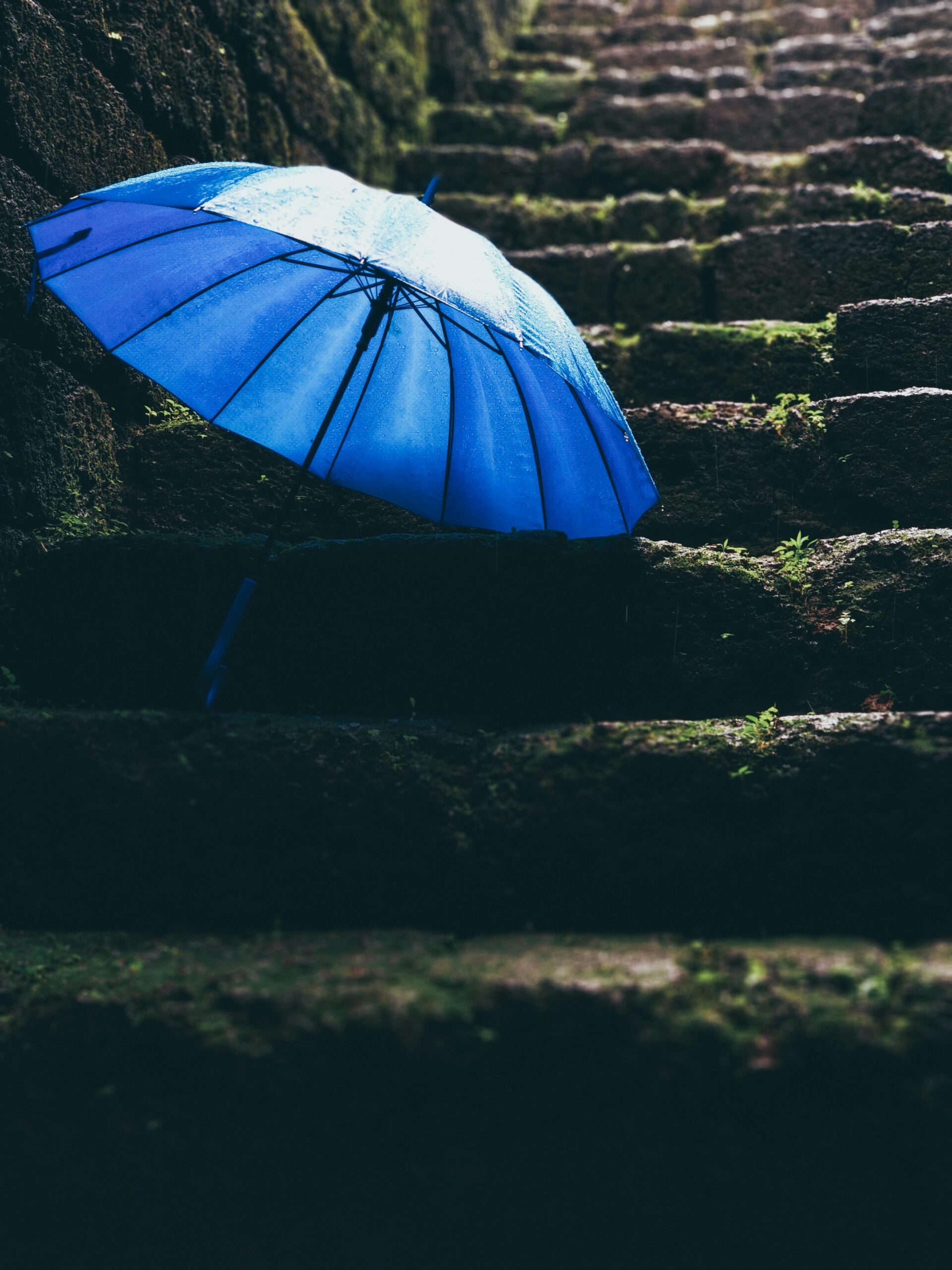 9 Features of a personal umbrella policy