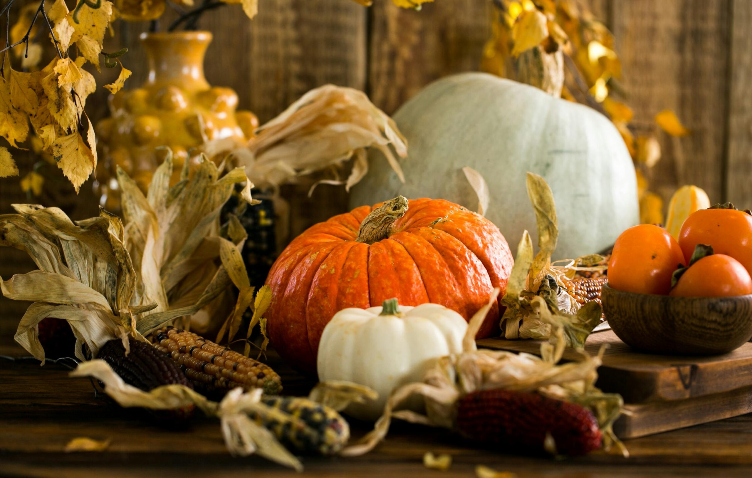 8 Reasons to be grateful this Thanksgiving!